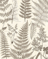 Eijffinger 366105 Herbarium Black Wall Mural
