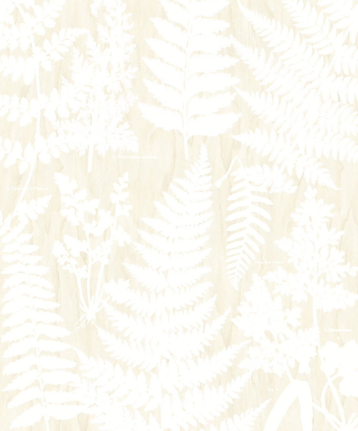 Eijffinger 366106 Herbarium White Wall Mural