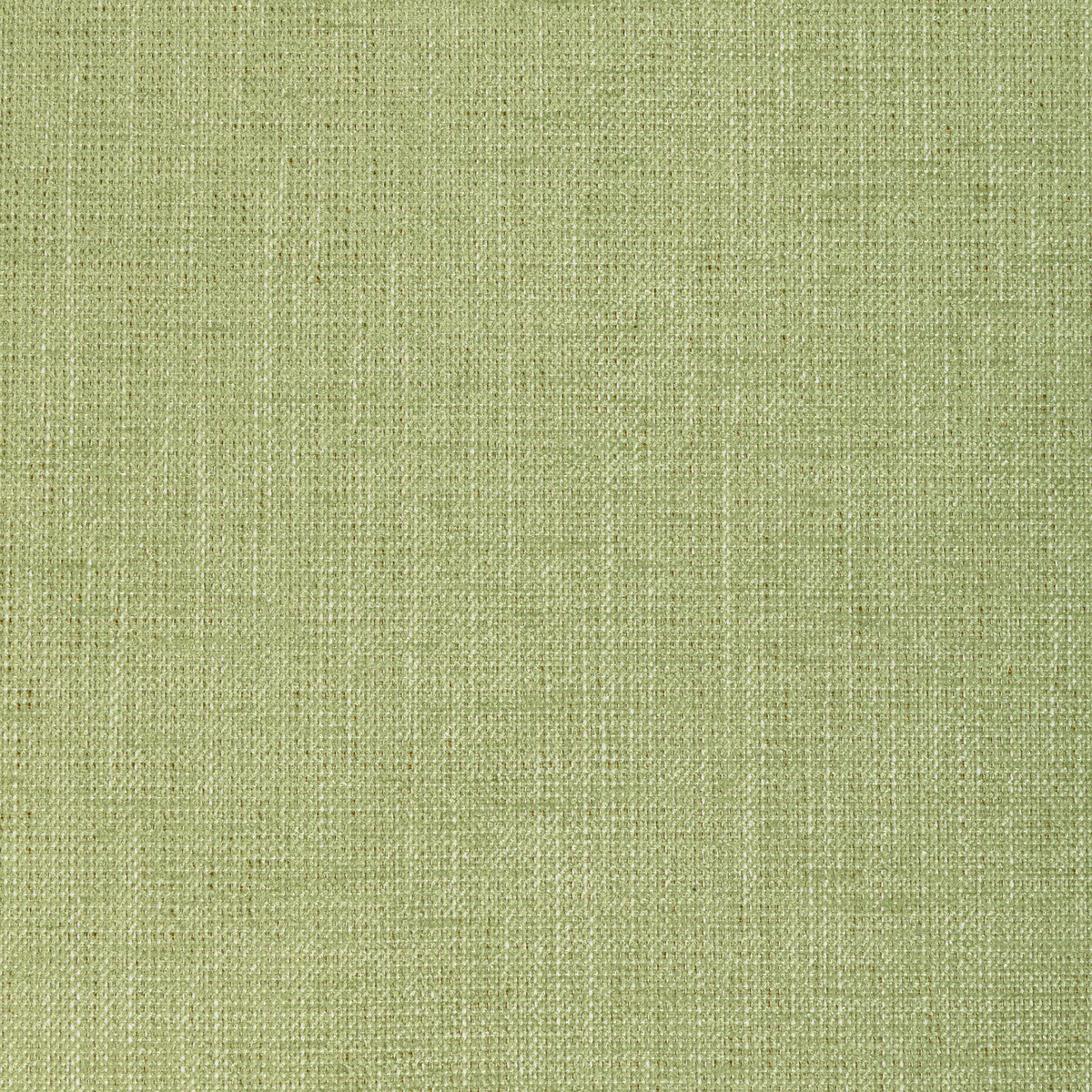 KRAVET BASICS 36649.23.0 POET PLAIN LEAF Fabric - Eade's Wallpaper