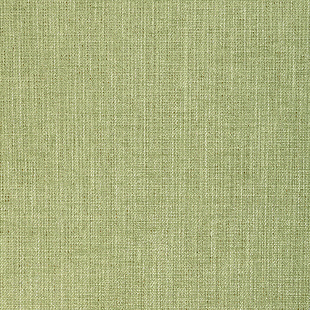 KRAVET BASICS 36649.23.0 POET PLAIN LEAF Fabric - Eade's Wallpaper