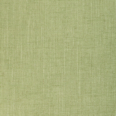 KRAVET BASICS 36649.23.0 POET PLAIN LEAF Fabric - Eade's Wallpaper