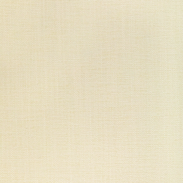 KRAVET SMART 36650.111.0 KRAVET SMART 36650-111 Fabric - Eade's Wallpaper