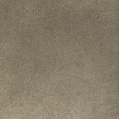 KRAVET CONTRACT 36652.106.0 ROCCO VELVET MINK Fabric - Eade's Wallpaper