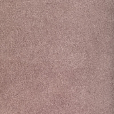 KRAVET CONTRACT 36652.110.0 ROCCO VELVET WISTERIA Fabric - Eade's Wallpaper
