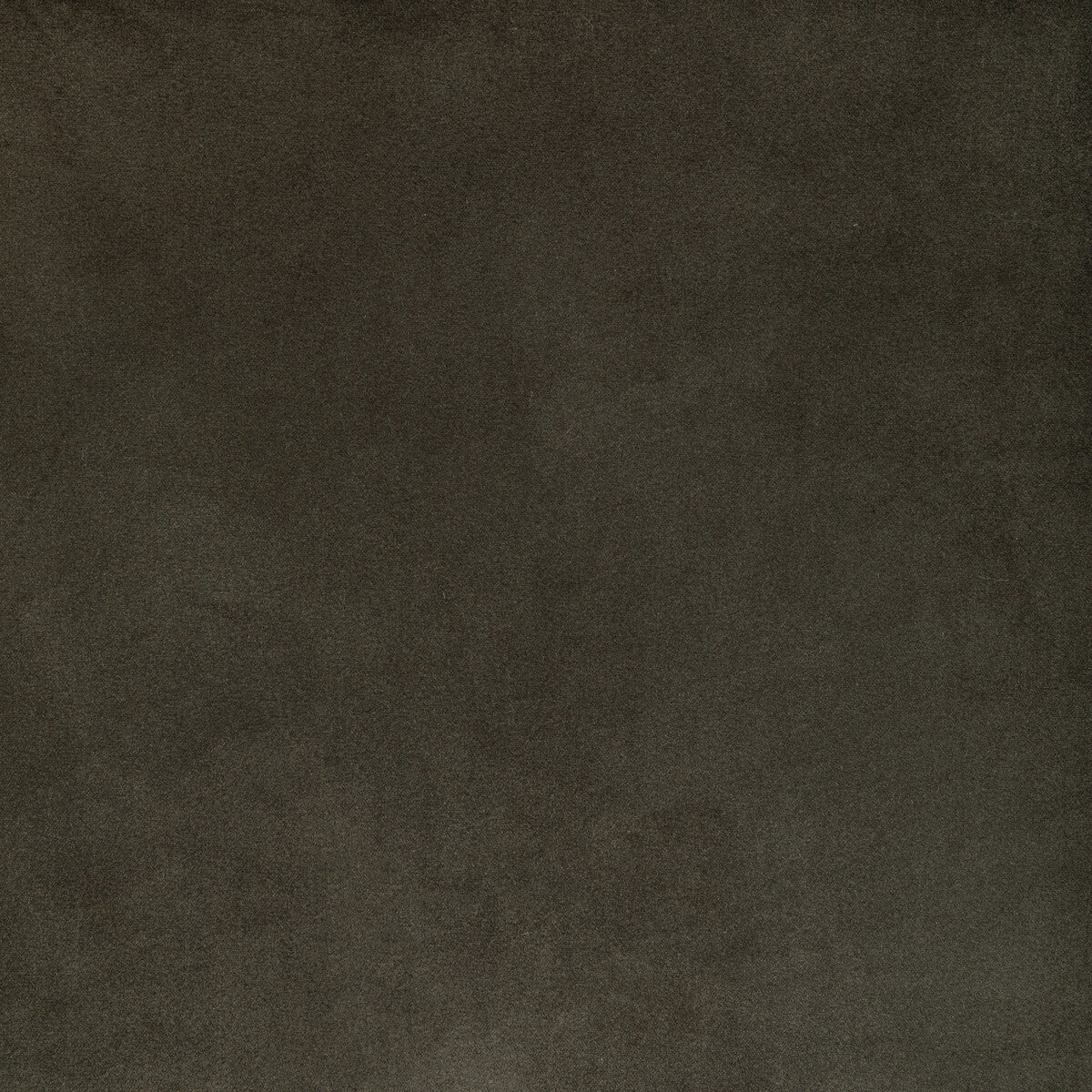KRAVET CONTRACT 36652.2111.0 ROCCO VELVET SEAL Fabric - Eade's Wallpaper