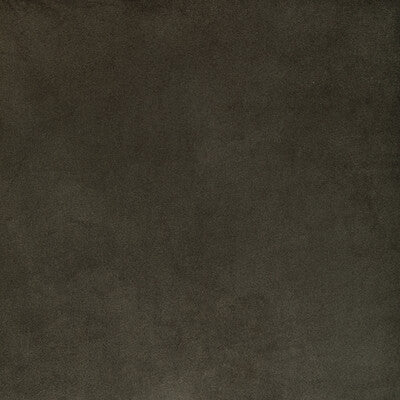 KRAVET CONTRACT 36652.2111.0 ROCCO VELVET SEAL Fabric - Eade's Wallpaper