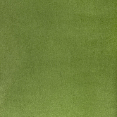 KRAVET CONTRACT 36652.30.0 ROCCO VELVET CACTUS Fabric - Eade's Wallpaper