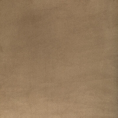 KRAVET CONTRACT 36652.616.0 ROCCO VELVET DUNE Fabric - Eade's Wallpaper