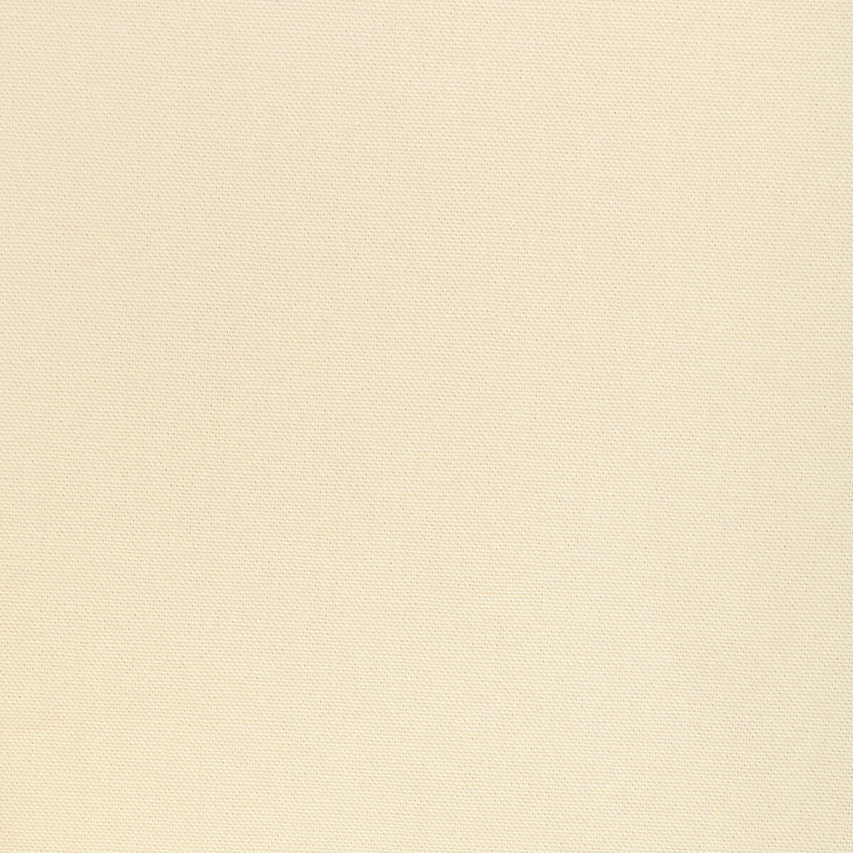 KRAVET BASICS 36656.1116.0 KRAVET BASICS 36656-1116 Fabric - Eade's Wallpaper