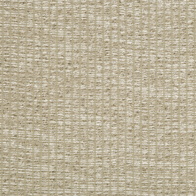 KRAVET COUTURE 3668.106.0 BEJO SHEER PATINA Fabric - Eade's Wallpaper