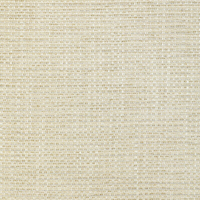 KRAVET DESIGN 36800.16.0 METALLIC WONDER CREAM Fabric - Eade's Wallpaper