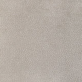 KRAVET DESIGN 36812.11.0 PEBBLE CHENILLE PUTTY Fabric - Eade's Wallpaper