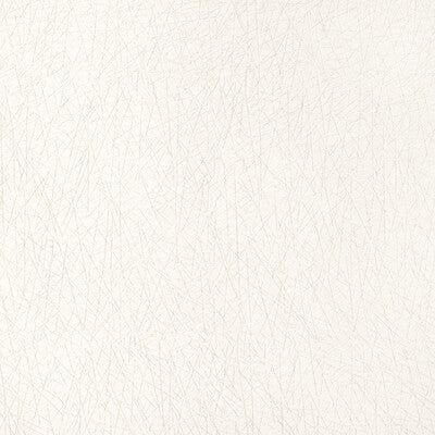 KRAVET DESIGN 36813.1.0 PICK UP STICKS IVORY Fabric - Eade's Wallpaper