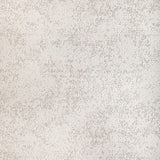 KRAVET DESIGN 36815.1101.0 METALLIC NUANCE PLATINUM Fabric - Eade's Wallpaper