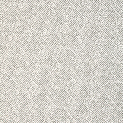 KRAVET DESIGN 36836.11.0 GRACEFUL MOVES DOVE Fabric - Eade's Wallpaper