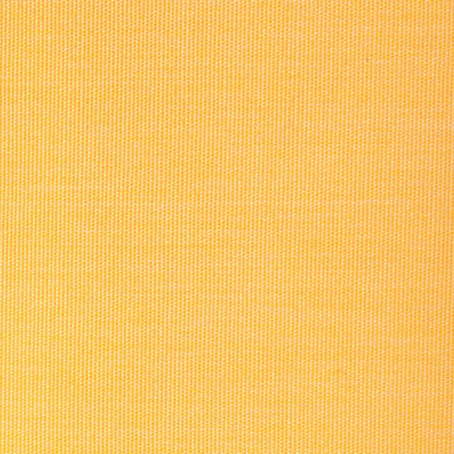 KRAVET BASICS 36843.40.0 KRAVET BASICS 36843-40 Fabric - Eade's Wallpaper
