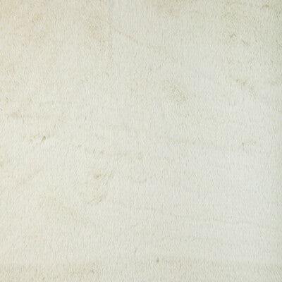 KRAVET BASICS 36896.1.0 KRAVET BASICS 36896-1 Fabric - Eade's Wallpaper