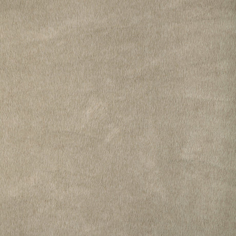 KRAVET BASICS 36897.16.0 KRAVET BASICS 36897-16 Fabric - Eade's Wallpaper