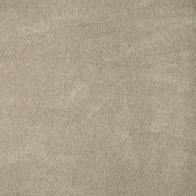 KRAVET BASICS 36897.16.0 KRAVET BASICS 36897-16 Fabric - Eade's Wallpaper