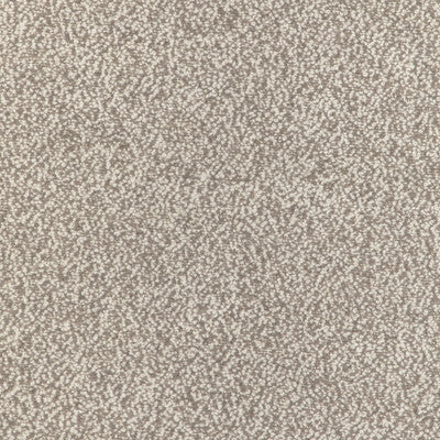 KRAVET COUTURE 36898.6.0 ALPACA BOUCLE FAWN Fabric - Eade's Wallpaper