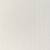 KRAVET COUTURE 36923.101.0 BEACHFRONT PEARL Fabric - Eade's Wallpaper
