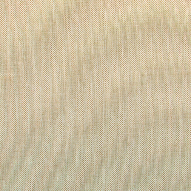 KRAVET SMART 37016.166.0 KRAVET SMART 37016-166 Fabric - Eade's Wallpaper