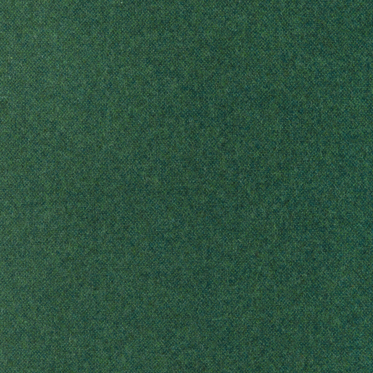 KRAVET CONTRACT 37026.330.0 MANCHESTER WOOL FOLIAGE Fabric - Eade's Wallpaper