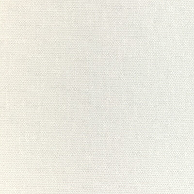 KRAVET DESIGN 37049.101.0 NARROWS CHALK Fabric - Eade's Wallpaper