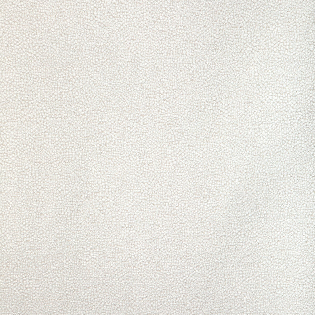 KRAVET DESIGN 37052.111.0 MULFORD SALT Fabric - Eade's Wallpaper