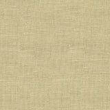 KRAVET COUTURE 3711.11.0 FAJAR SILVER LAKE Fabric - Eade's Wallpaper