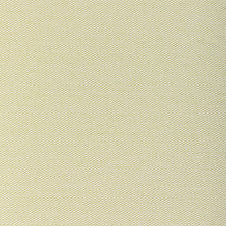 KRAVET COUTURE 37255.23.0 SOFTGROUND CACTUS Fabric - Eade's Wallpaper