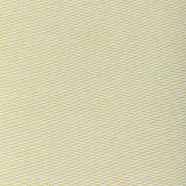 KRAVET COUTURE 37255.23.0 SOFTGROUND CACTUS Fabric - Eade's Wallpaper