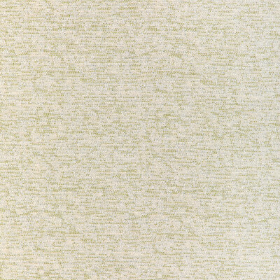 KRAVET COUTURE 37256.23.0 SOFTBED CACTUS Fabric - Eade's Wallpaper