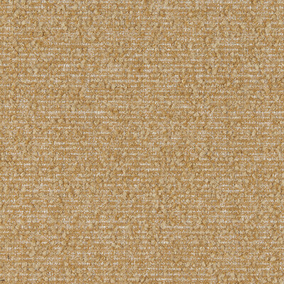 KRAVET CONTRACT 37361.6116.0 CORA INCA Fabric