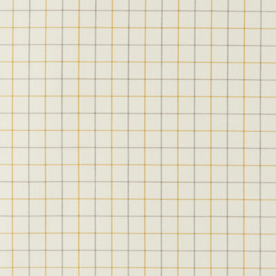 KRAVET BASICS KRAVET BASICS 37577.411.0 in 37577-411 Fabric 