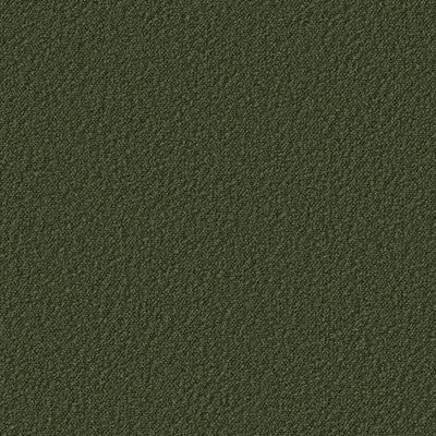 KRAVET CONTRACT STOWE 37579.30.0 in MOSS Fabric - SUPREEN PE