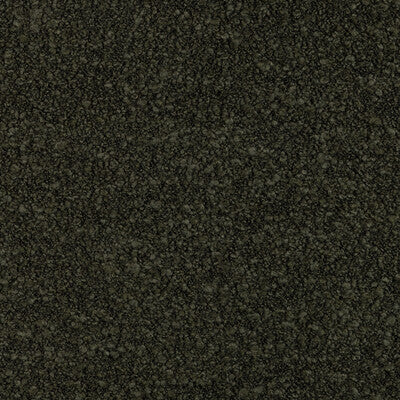 KRAVET COUTURE CUSCO BOUCLE 37633.30.0 in BOSQUE Fabric - AL