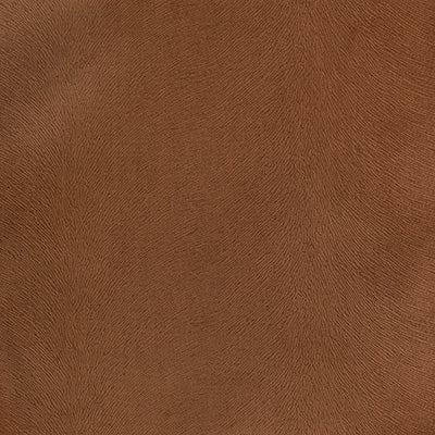 Pindler OVERTON VICUNA 3767 Fabric