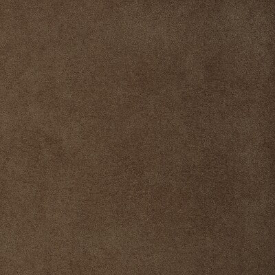KRAVET DESIGN KRAVET DESIGN 37721.116.0 in 37721-116 Fabric 
