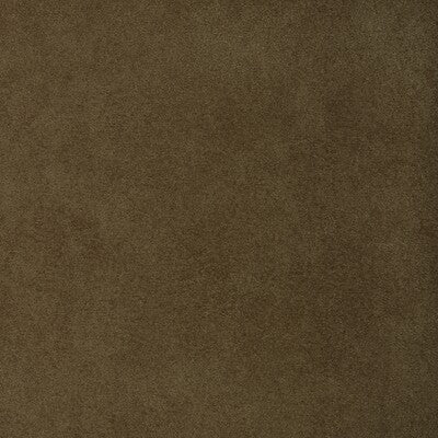 KRAVET DESIGN KRAVET DESIGN 37721.123.0 in 37721-123 Fabric 