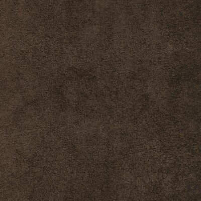 KRAVET DESIGN KRAVET DESIGN 37721.6666.0 in 37721-6666 Fabri