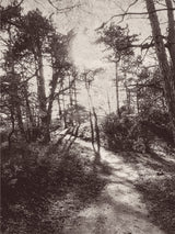 Eijffinger 379100 Into The Woods Wall Mural