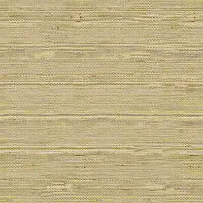 KRAVET BASICS 3807.1616.0 KRAVET BASICS 3807-1616 Fabric