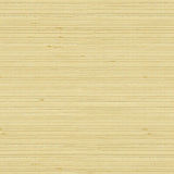 KRAVET BASICS 3808.1116.0 KRAVET BASICS 3808-1116 Fabric