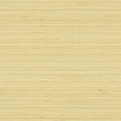 KRAVET BASICS 3808.1116.0 KRAVET BASICS 3808-1116 Fabric