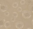 Versace 384612X Wallpaper - Eade's Wallpaper & Fabric