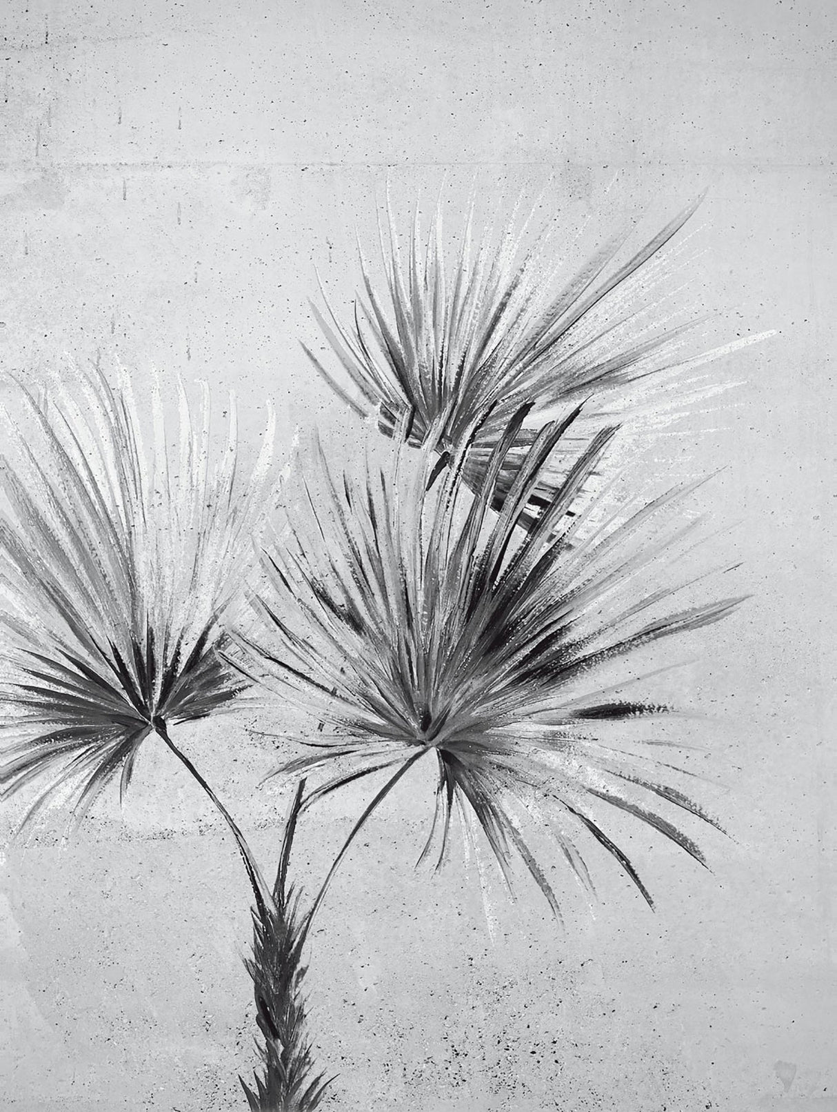 Eijffinger 391567 Durango Palm Greyscale Wall Mural