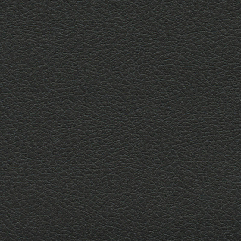 Schumacher Brisa Soleil Indoor/Outdoor Black Onyx Fabric