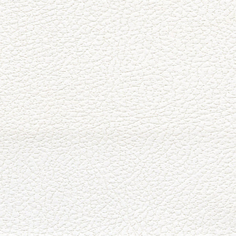 Schumacher 393-5750 BRISA SOLEIL INDOOR/OUTDOOR in POLAR Fab