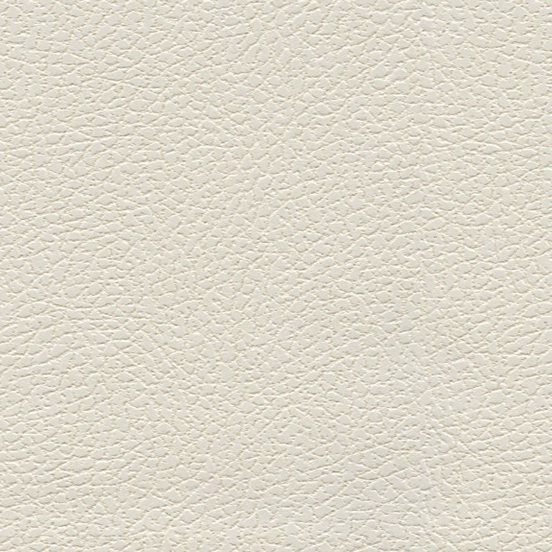 Schumacher Brisa Soleil Indoor/Outdoor Jasper Fabric